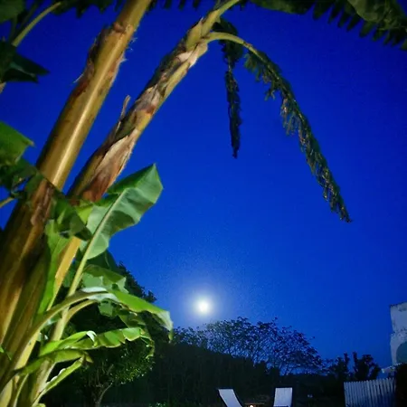 Pool Oasis With Private Parking -vigia 8 *