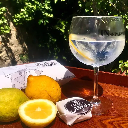 Pool Oasis With Private Parking -vigia 8