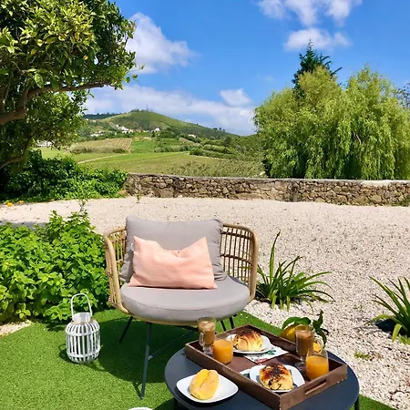 Pool Oasis With Private Parking -vigia 8 * Torres Vedras