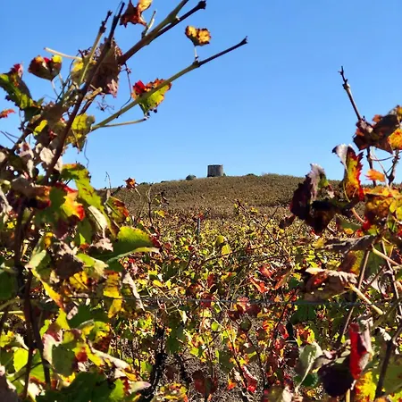 Pool Oasis With Private Parking -vigia 8 בית נופש *