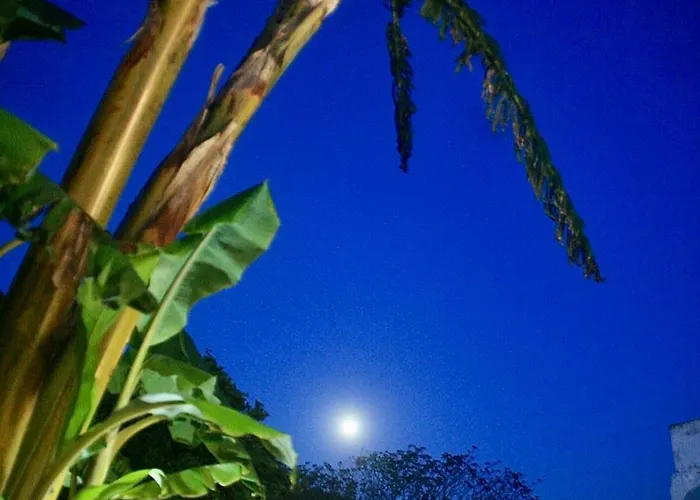 Pool Oasis With Private Parking -vigia 8 *