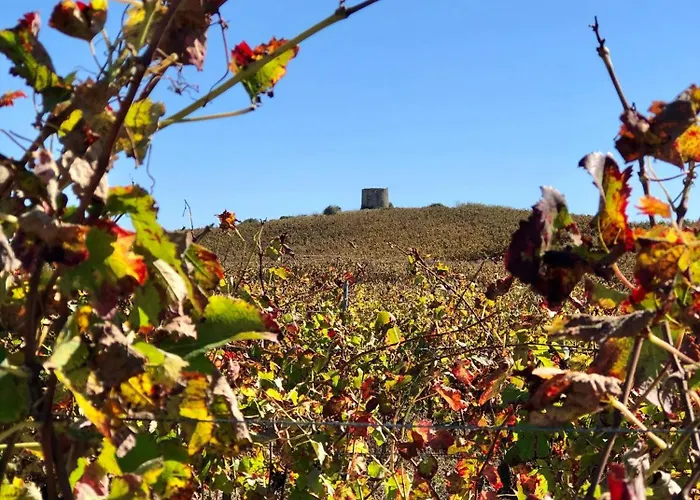 Pool Oasis With Private Parking -vigia 8 別荘 *